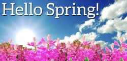 spring